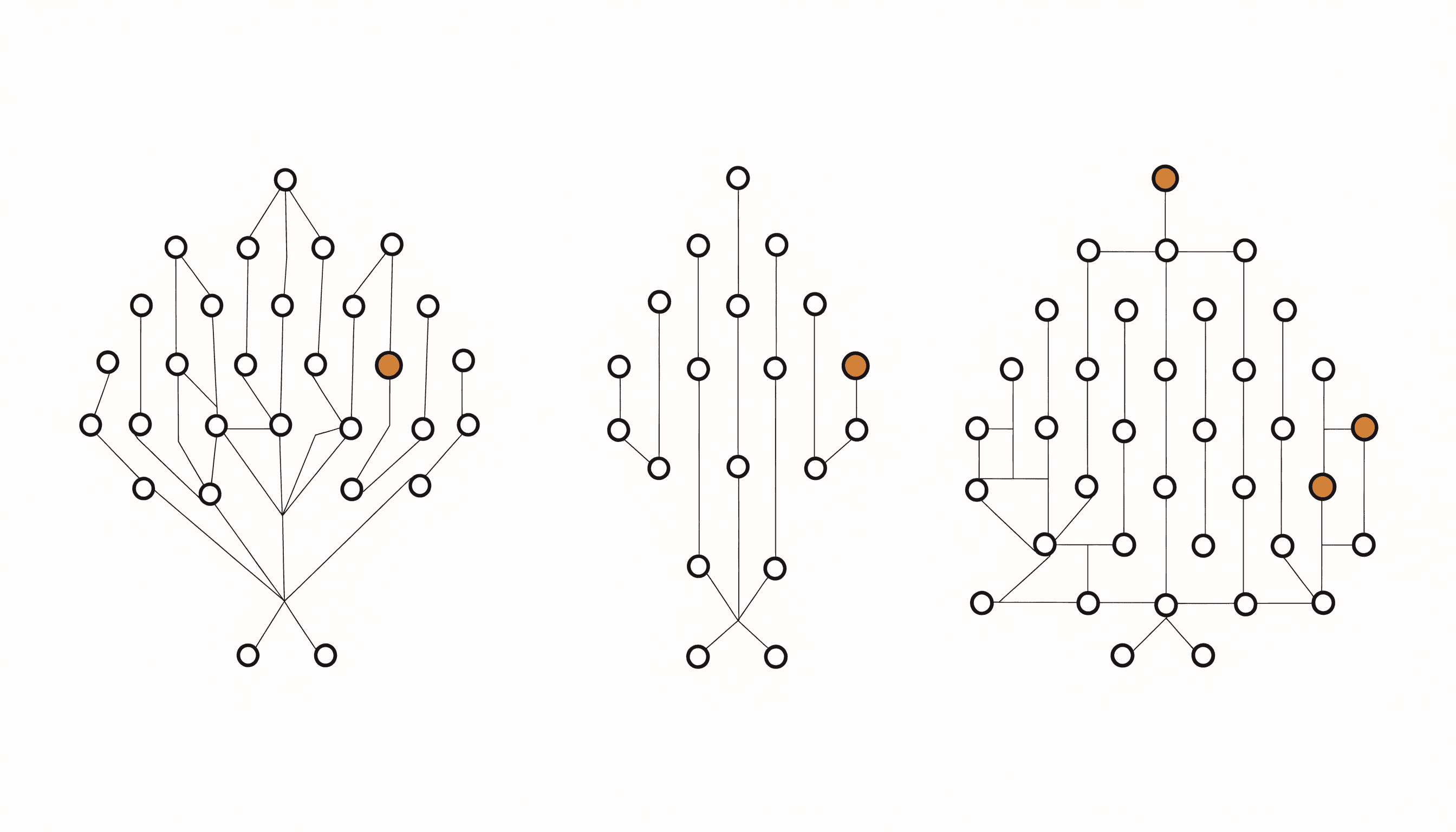 Three network diagrams side by side: one wide and shallow, one splitting into two branches at every level, and one on a fixed grid.